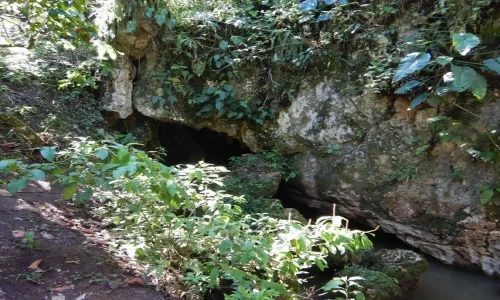 Cueva de los Siete Peces