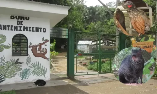 Zoológico de la UNAS